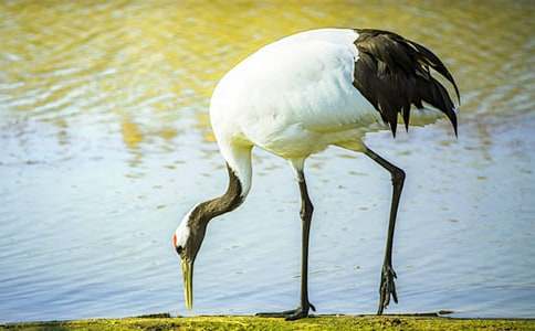 ����Q����400��8ƪ