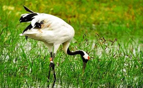 ����Q����600����ƪ