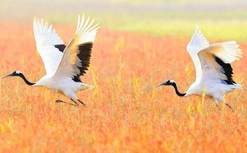 ����Q����600�֣����x25ƪ��