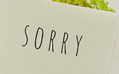 中學生原創(chuàng)作文:給自己一個道歉的機會