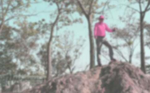 �P(gu��n)�ڵ�ɽ������800��