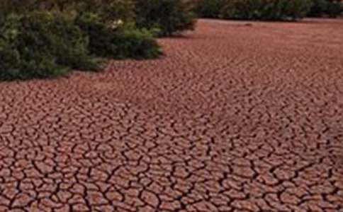 地球在呻吟_700字