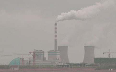 ��늏S�Č������