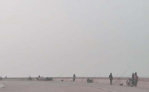 釣魚經(jīng)歷作文合集八篇