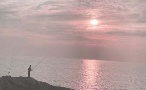 精選釣魚經(jīng)歷作文34篇