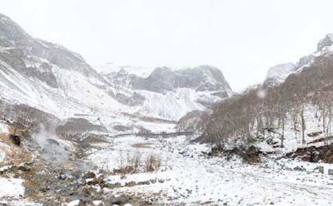 �����Ķ�������