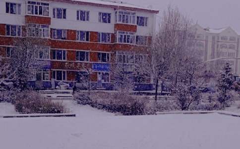 ������ķ���(gu��)��ͩ��(sh��)��������