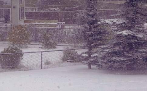 ����Ȥ������