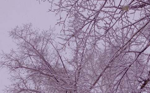 �������һ�|ꖹ�����