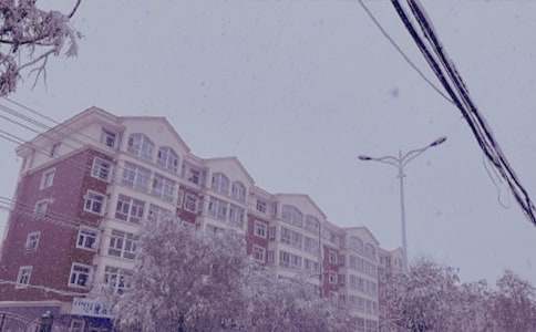 冬日里的霜作文1400字