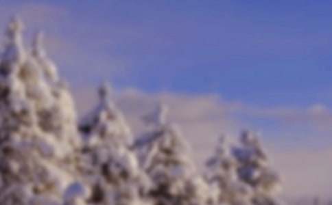 �����������Ķ�������