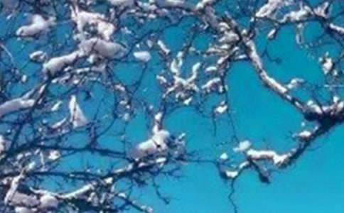 �茑��(j��)�϶��������