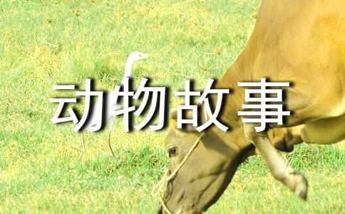三年級編童話動物故事作文300字(精選20篇)