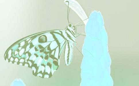 ��(d��ng)ֲ����ϧ����������