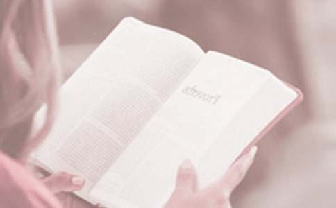 �ڶ�ʮһ���������x���ա���Ӻ��󣨾��x15ƪ��