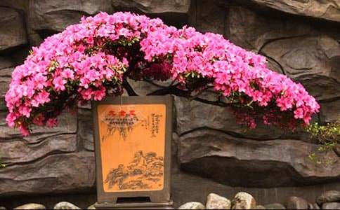 ���؂䡿���N������8ƪ