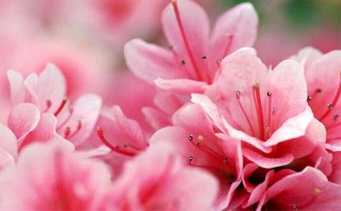 �����x�����N������37ƪ