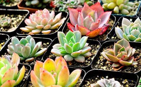 �����T���^���������3ƪ