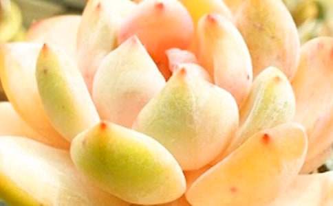 �����A�������^����ӛ14ƪ