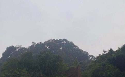 ��üɽ��ӛ���꼉(j��)���ģ�ͨ��18ƪ��