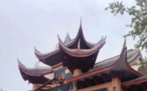 峨眉山游記作文600字