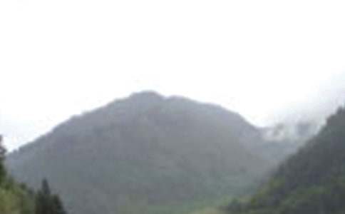 �����Ķ�üɽ_���꼉���µ�����700��