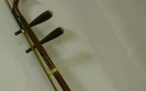 二胡小能手作文700字