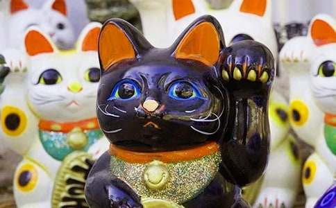 �����á��l(f��)ؔ��������ƪ