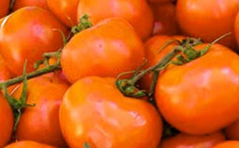 ��һ�η��ѳ�������5ƪ