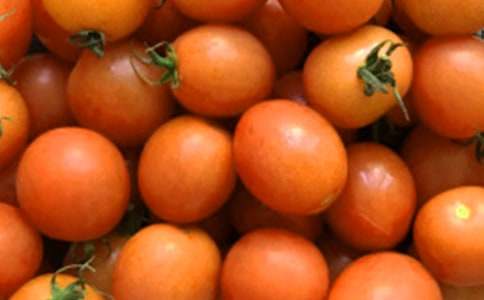 ���ѳ�������15ƪ��ͨ�á�