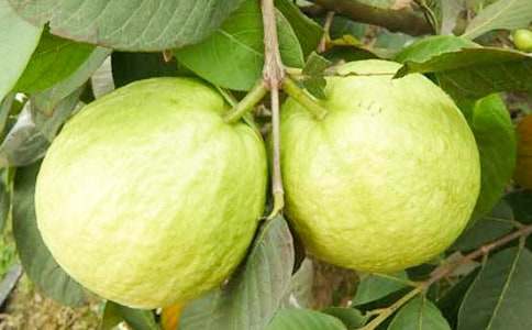 �Ґ۹��l(xi��ng)�ķ�ʯ������