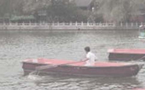 �������ƺ���������