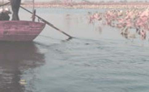 關(guān)于泛舟仙陽湖的作文