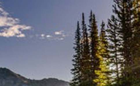 �ļ�֮���L������