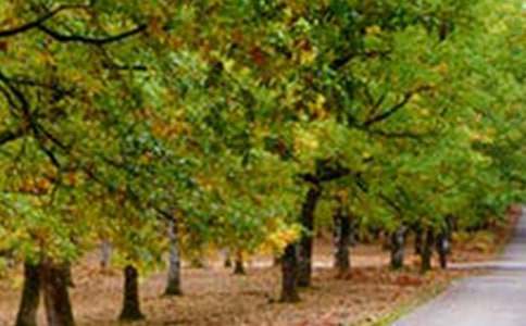 һ���������L(f��ng)�����ļ��\15ƪ