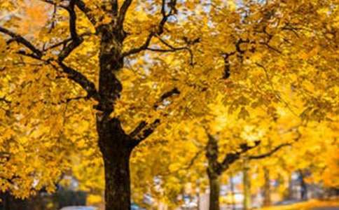 ���P(gu��n)�L(f��ng)�����ٵ��V�Z