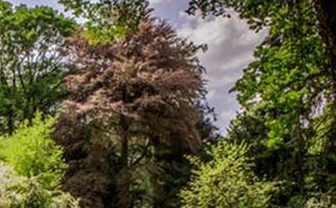 �_(t��i)���L(f��ng)�����ľ��x