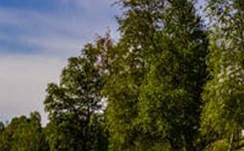 һ���n�����L������15ƪ