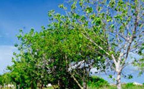 �������������L(f��ng)�����ģ�ͨ��34ƪ��