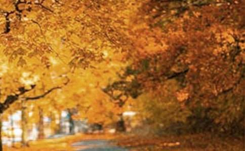 �L(f��ng)��������߅���ġ�����