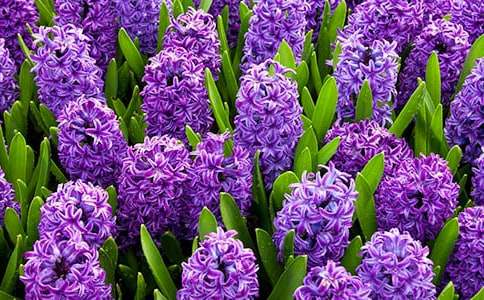 �������L(f��ng)�������ģ����x30ƪ��