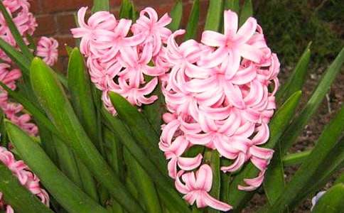 �^���L(f��ng)��������