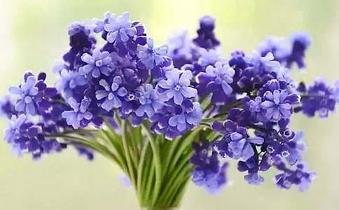 �������L(f��ng)��������800��