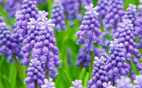 �茑�L���ӵ����ķ��ģ�ͨ��15ƪ��