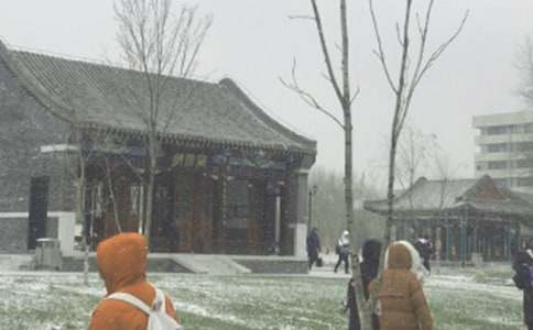 �`�����Lѩ��Ļ�650������