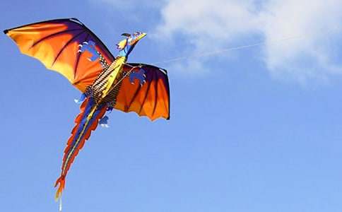 放風(fēng)箏的小學(xué)一年級作文200字(精選25篇)