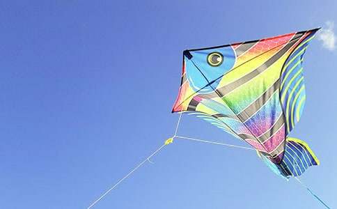 ���]��������L(f��ng)�~����