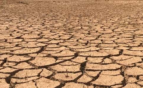 關(guān)于世界防治荒漠化和干旱日作文:保護(hù)環(huán)境