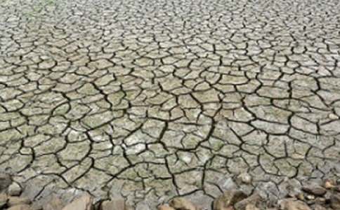 ���ϸɺ��ĸ���800������