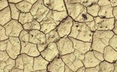 �����ֹ��Į���͸ɺ��գ����o�Gɫ�҈@���h��